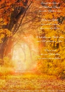 Spenden Tierhospiz 2026