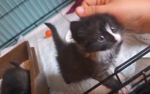 Es geht voran – Ein Zwischenbericht