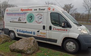 Hilfe für BuscanDog Familia