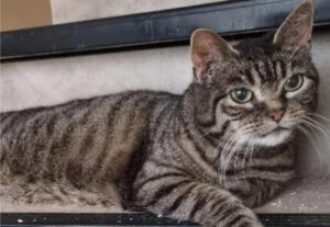 Emilie stellt sich vor