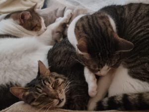 Mona stellt sich vor